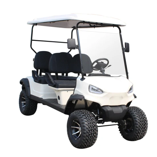 Pneu 12/14 pouces Pmsm 5, 6, 7kw Moteur 100/120km Kilométrage Plomb Acide/Batterie au lithium 48V/60V/72V 2, 4, 6, 8, 10 Sièges/Chariot de golf de chasse/Buggy/Voiture, Club Car