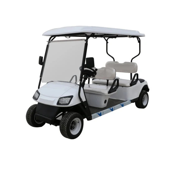 Style royal 60 V utilisé pour le petit chariot utilitaire Club