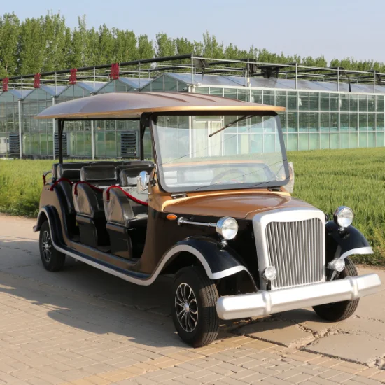 Voiture électrique de véhicule touristique de style élégant et confortable de 11 sièges