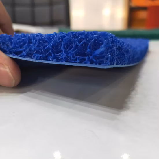 Tapis de tapis de bobine en PVC de porte d'entrée de luxe personnalisé commercial avec support ferme