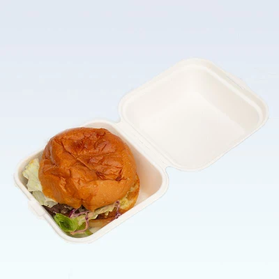 Promotion d'usine Bagasse Hamburger Clamshell Box Sugarcane Environmentally Square Hamburger Boxhot Vente Produits